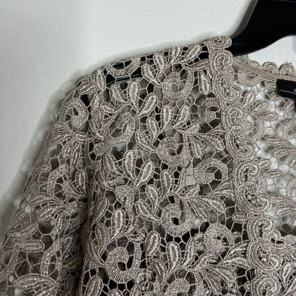 R&M Richards Petite 6P Metallic Lace Flower Dress with Satin Sash - Picture 5 of 12